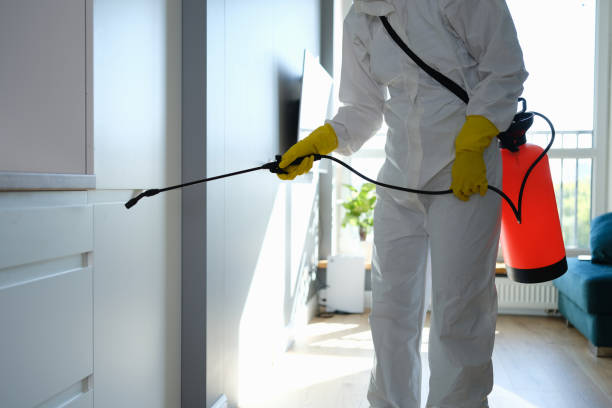 Best Commercial Mold Remediation in Riverton, UT